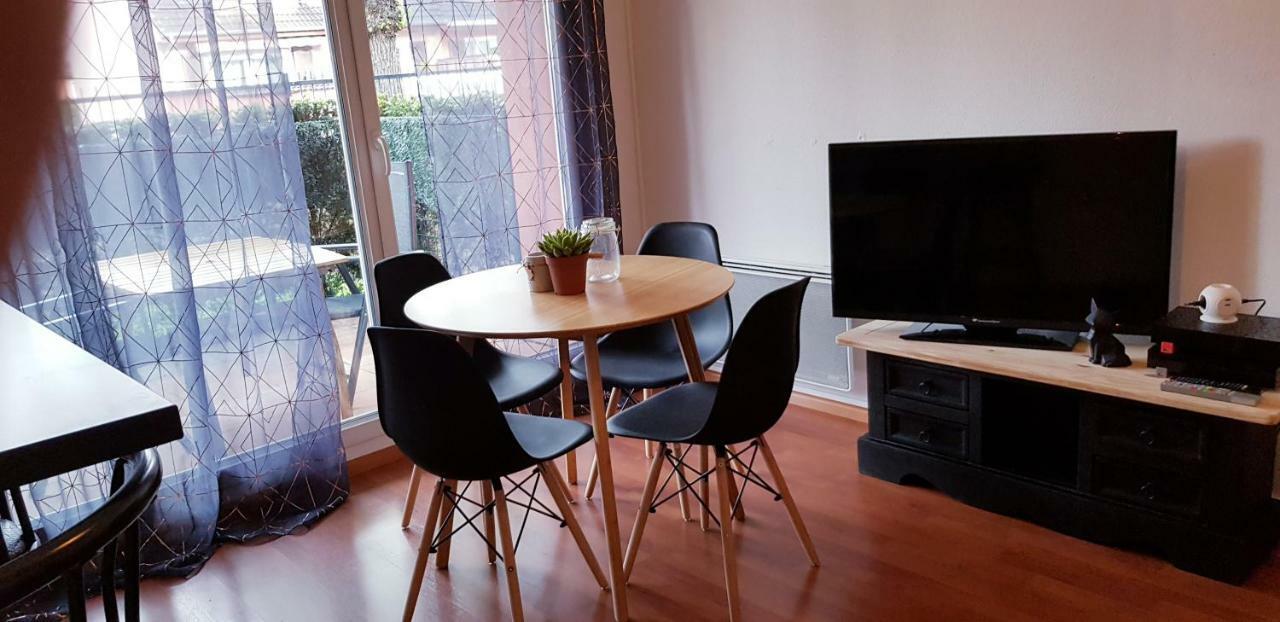 Chez Damien Apartment Colmar Luaran gambar